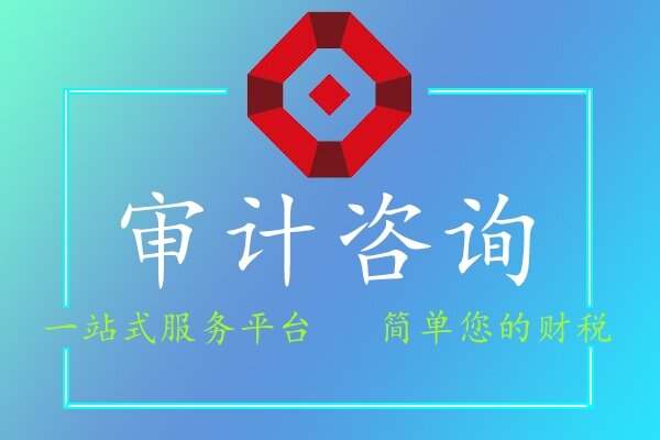 審計(jì)咨詢(xún)